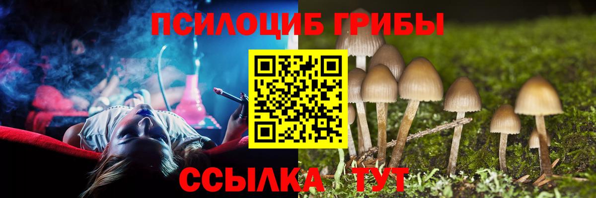 закладки  Вход с VPN  Псилоцибиновые грибы мицелий  Павловский Посад  Псилоцибиновые грибы Psilocybe 